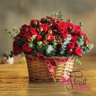 Christmas red roses