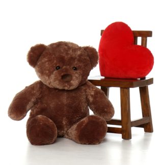 Teddy bear delivery Hanoi