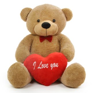 Teddy bear with heart