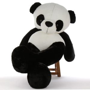 Panda Bears