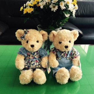Couple Teddy Bears