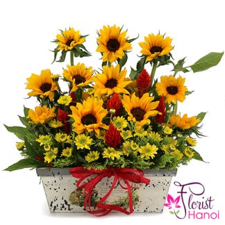 Good morning Hanoi with sunflower basket