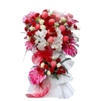 Hanoi flowers stand for congratulation