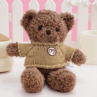 order mini teddy bear in Hanoi