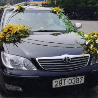 WEDDING CAR 003