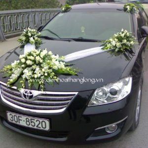 WEDDING CAR 008