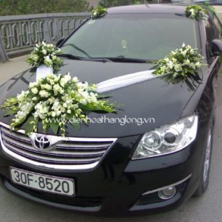 WEDDING CAR 008
