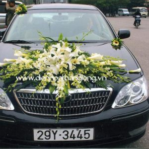 WEDDING CAR 009