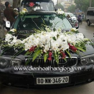 WEDDING CAR 010