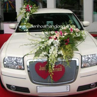 WEDDING CAR 011