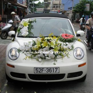 WEDDING CAR 012