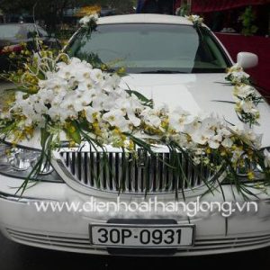 WEDDING CAR 013
