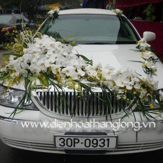 WEDDING CAR 013