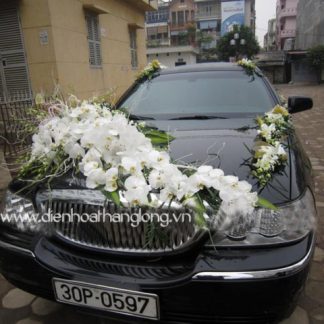 WEDDING CAR 014