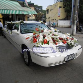 WEDDING CAR 015