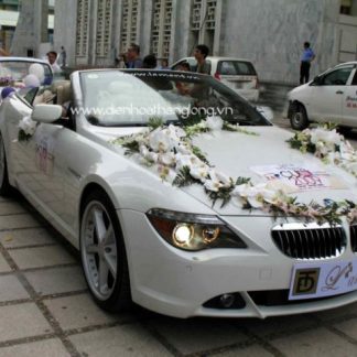 WEDDING CAR 016