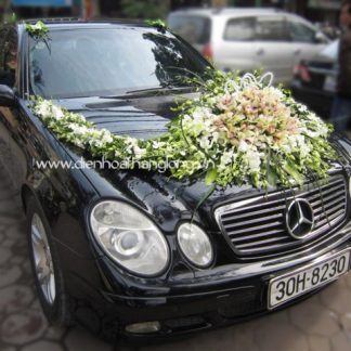 WEDDING CAR 020