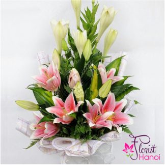 Pink lily flower Hanoi Vietnam