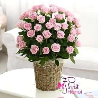 Romantic pink rose basket for girlfriend in Hanoi