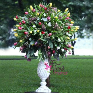 Tulip flowers free delivery in Hanoi