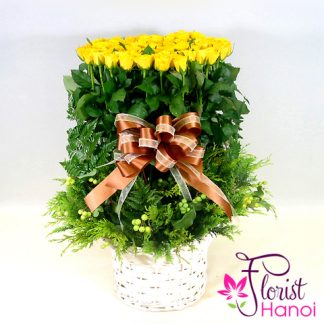 Yellow roses delivery in Hanoi