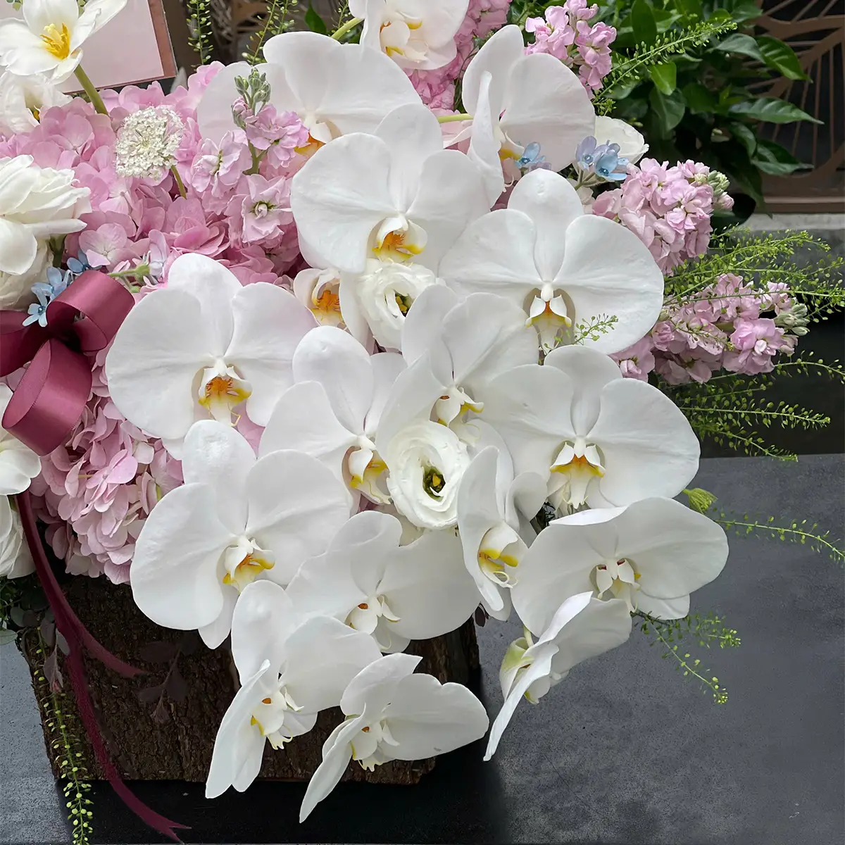 Beautiful flowers representing different meanings and emotions